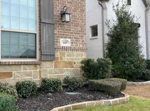 Bush Trimming by Severa Rosie Lara for Laura F. in Euless, TX
