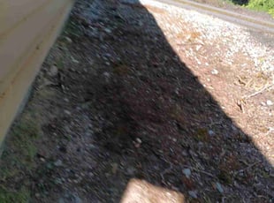 Weeding by Robert Martin for David S. in Lake Stevens, WA