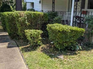 Bush Trimming by Antonio Simmons for Joseph P. in Norfolk, VA