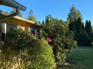 Bush Trimming by Dylan Christina for Anthony D. in Vancouver, WA