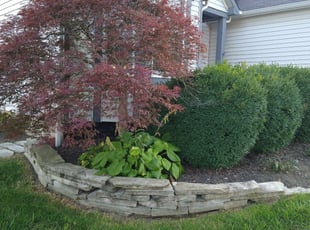 Weeding by Jon Bushee for Ken C. in Pataskala, OH
