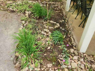 Weeding by Nick Burks for John V. in Canton, GA