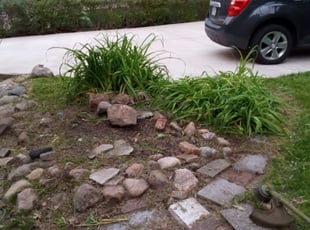 Cleanups by Willie Tisdel for Danielle B. in Shaker Heights, OH