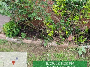 Cleanups by Mark Vel for Tiffany S. in Arlington, TX