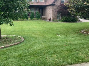 Chad G.'s Yard Cutting service result