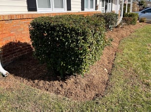 Landscaping by Andree Dualan for Susan W. in Virginia Beach, VA