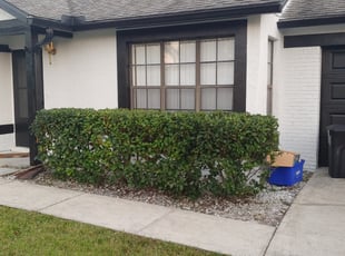 Bush Trimming by Chris Hoppe for Molly N. in Deltona, FL