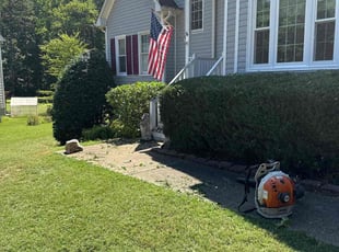 Sandra J.'s Bush Trimming service result