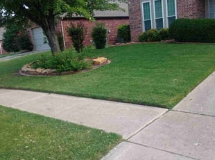 Tamisha C.'s Lawn Service service result