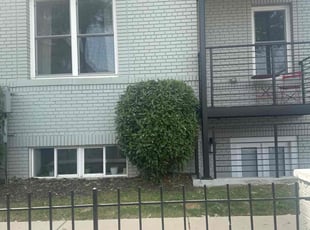 Cleanups by Gary Thomas for Lisa S. in Washington, DC