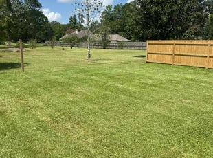 Shannon B.'s Lawn Mowing Service service result