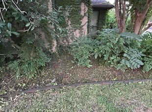 Deborah W.'s Cleanups service result