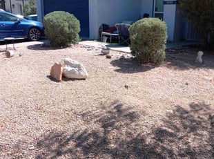 Weeding by Curtis Mccowin for Alycia A. in Scottsdale, AZ
