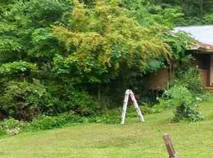 Bush Trimming by Nanda Cherry for Neal O. in Doraville, GA