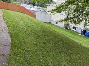 Daveina G.'s Lawn Service service result