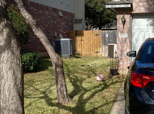 Cleanups by Matius Rivera for Emma M. in Austin, TX
