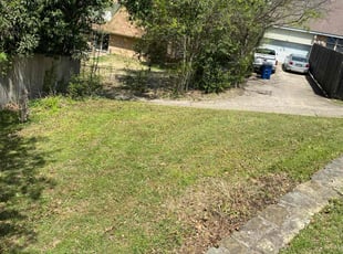 Bush Trimming by Ivan Pichardo for Jay J. in Dallas, TX