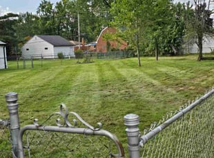 Ronke O.'s Lawn Mowing Service service result