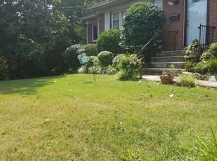 Bush Trimming by Larry Mulhall for kathy w. in Alexandria, VA