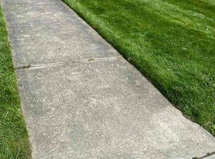 Frances B.'s Lawn Care service result