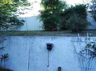 Weeding by Robert Nelams for Jeffrey H. in Lady Lake, FL