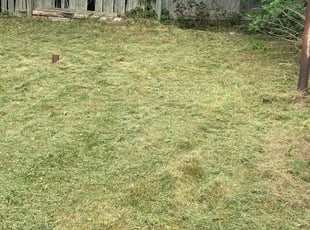 Don R.'s Lawn Service service result