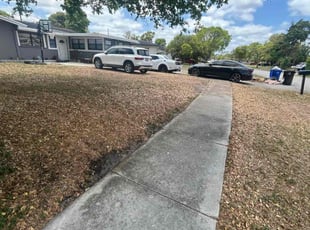 Mia B.'s Lawn Service service result