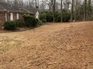Bush Trimming by Shaquille Davis for Karl F. in Greenville, SC