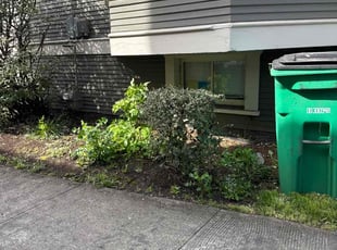 Bush Trimming by Robert Norton for Tom G. in Portland, OR