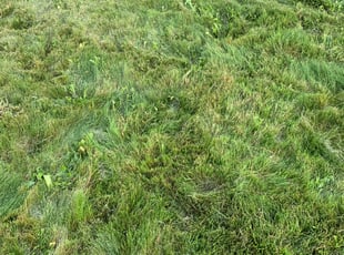 Cleanups by Ryan Sheehan for Kimberly S. in Spokane, WA