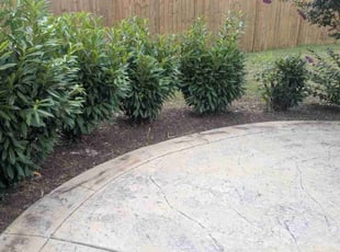 Penelope B.'s Flower Bed Weeding service result