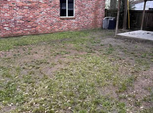 Leaf Removal by Joshua Kenny for Jason B. in Baton Rouge, LA