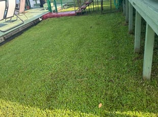 Lisa M.'s Lawn Maintenance service result