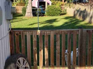 Harry H.'s Lawn Care service result