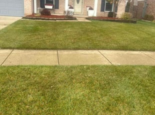 Ellen G.'s Lawn Care service result