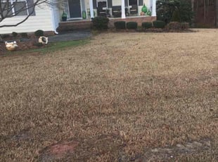 Bush Trimming by Billy Bryant for melissa C. in Clayton, NC