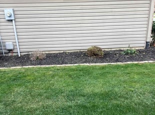 Bush Trimming by Tywuan Williams for Jordan S. in Fishers, IN