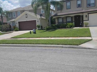 Rosemarie L.'s Lawn Mowing service result