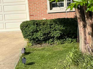 Marilyn L.'s Bush Trimming service result