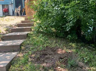 Cleanups by Mekey Musa for Madeline T. in Saint Paul, MN
