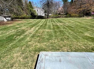 Richard C.'s Lawn Mowing service result