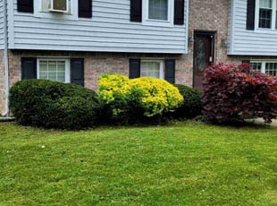 Bush Trimming by Ceo Bailey for Michael G. in Jeffersonville, IN