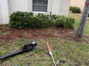 Bush Trimming by Arely Elrod for Christopher V. in Gibsonton, FL