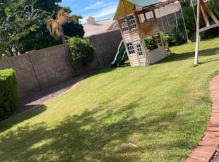 Bush Trimming by Eleesha Wright for Sherie K. in Phoenix, AZ