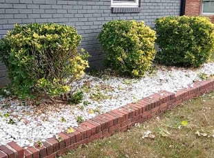 Bush Trimming by C Dubois for Angela J. in Atlanta, GA