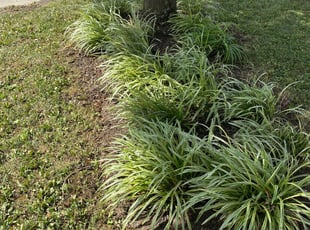 Cleanups by Ted Ostavitz for Katie B. in Cincinnati, OH