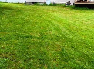 Kathy W.'s Lawn Service service result