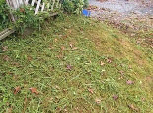 Weeding by Mickey Wilson for Joann F. in Columbia, PA