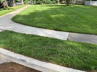 Kristy Q.'s Lawn Service service result