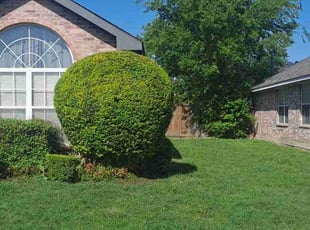 Bush Trimming by Valentina Toledo for Clarence R. in DeSoto, TX
